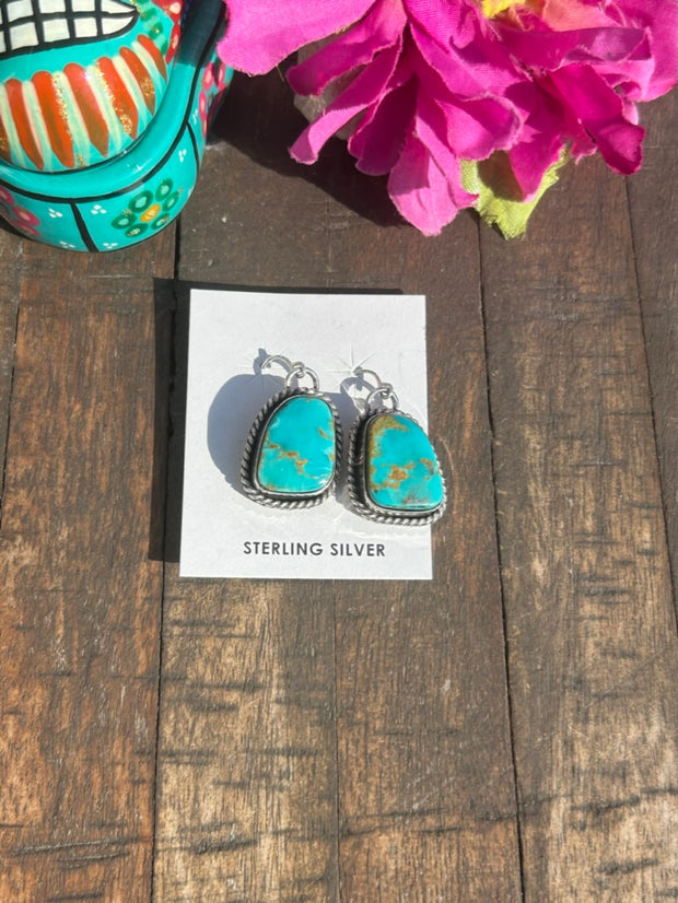 Single Stone Dangle Earrings