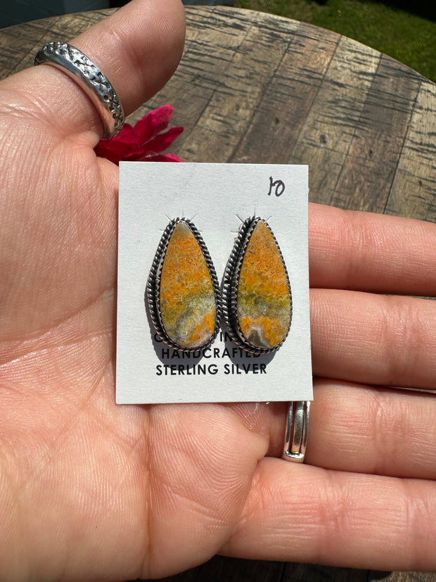 Bumblebee Jasper Stud Muffin #10