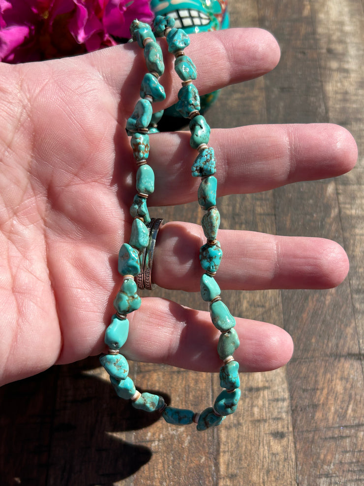 Carico Lake Turquoise and Heishi Strand