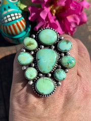 Sonoran Cluster Ring Sz 9