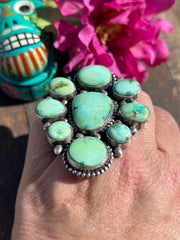 Sonoran Cluster Ring Sz 9