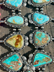 Royston Squash Blossom