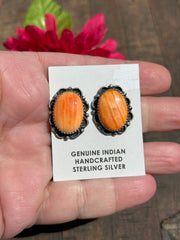 Fancy Spiny Orange Studs- B