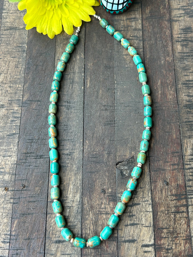 20" Turquoise and Heishi Strand #23