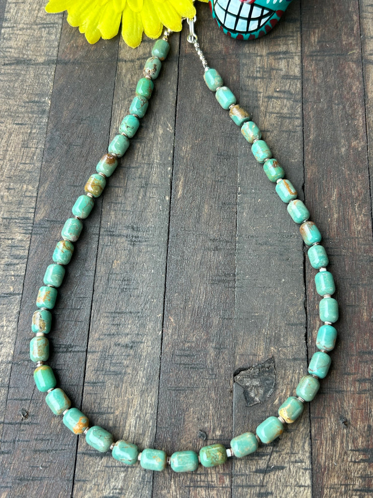 19" Turquoise and Heishi Strand  #34