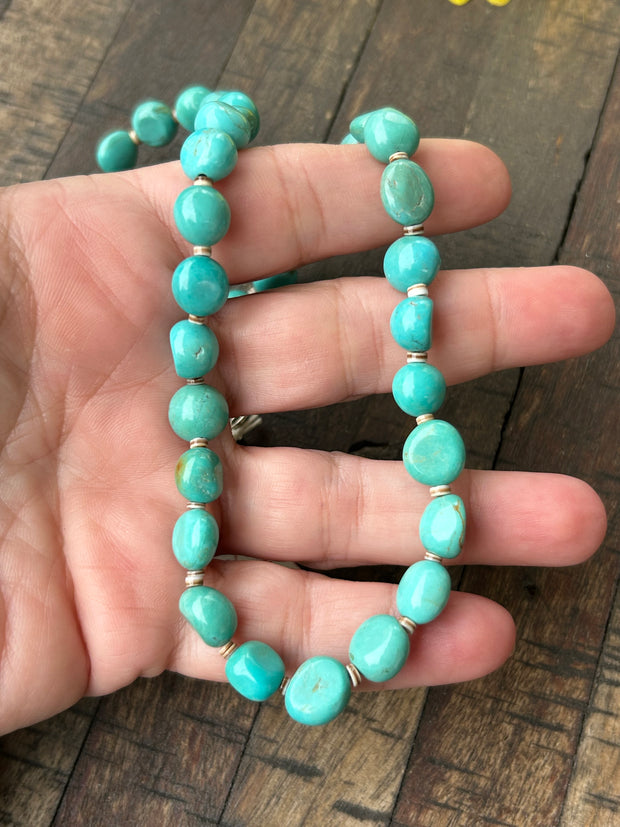 16" Turquoise and Heishi Strand  #37